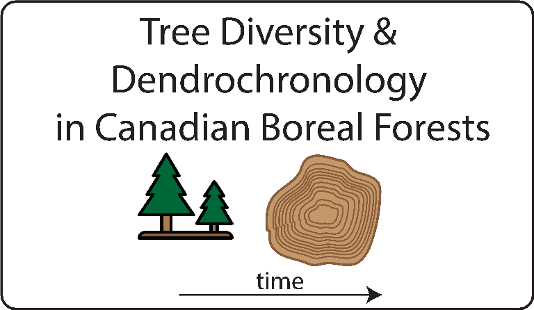 Tree Diversity & Dendrochronology in Alberta, BC Forests