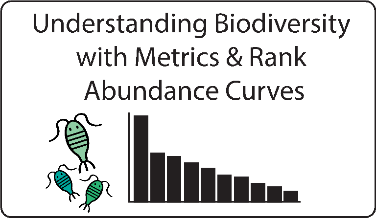 Understanding Biodiversity with Metrics & Rank Abundance Curves