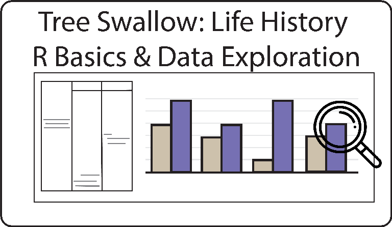 Tree Swallow Life History: R Basics & Data Exploration